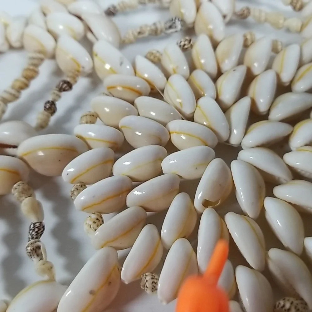 Cowrie Seashell Puka Trivet 10